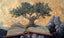 THOUSAND OLIVES ΜΕ ΕΛΑΙΟΚΑΝΘΑΛΗ