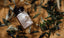 THOUSAND OLIVES